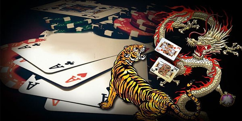 Một số điều cần lưu ý khi chơi Long Hổ theo cầu Một số điều cần lưu ý khi chơi Long Hổ theo cầu